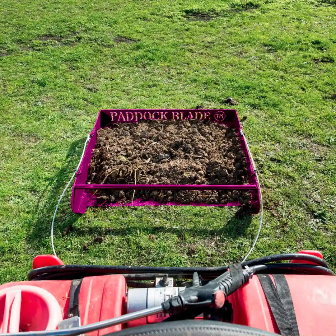 Paddock Blade Manure Collector | (NEW Pink)
