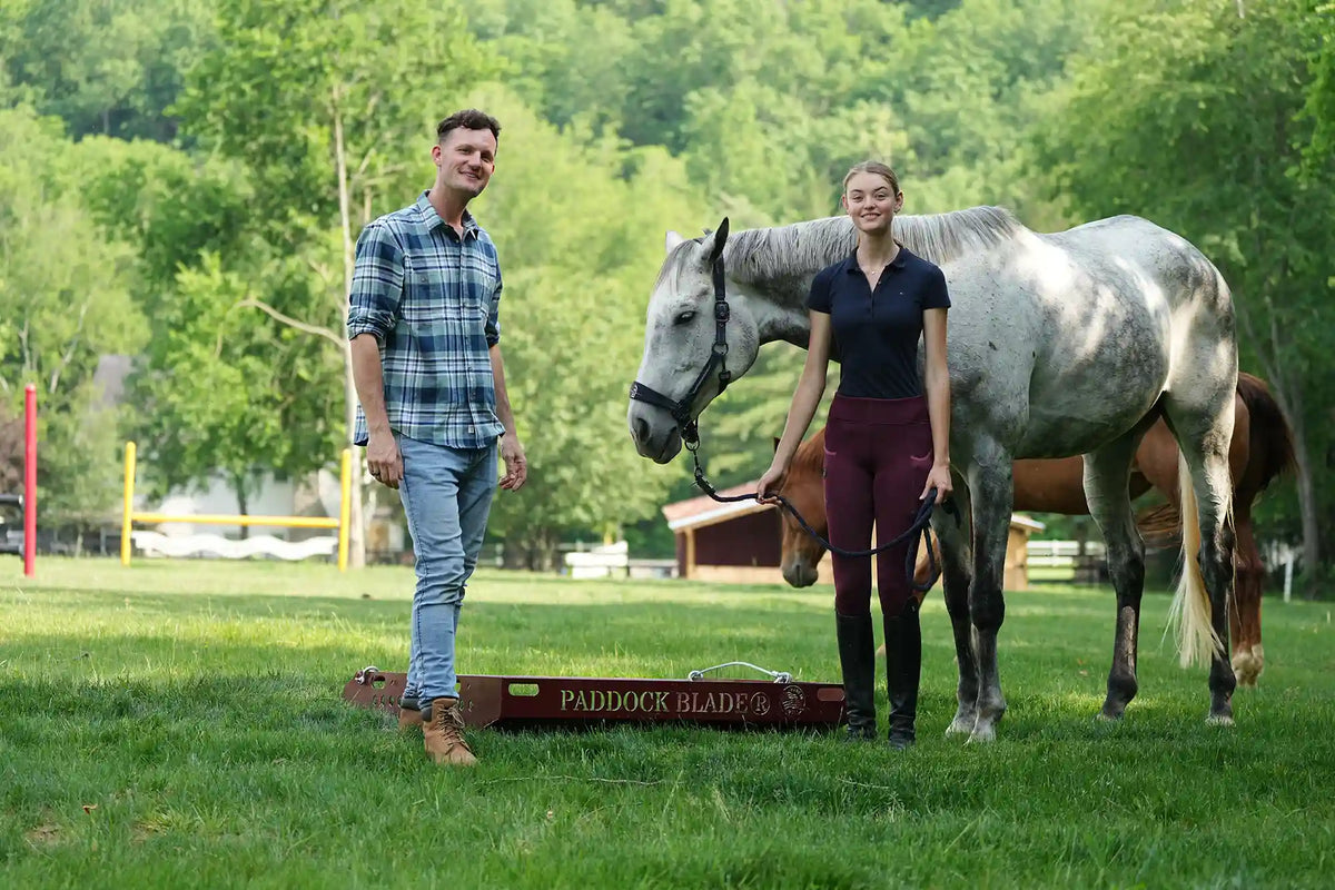 paddock blade red, people, white horse